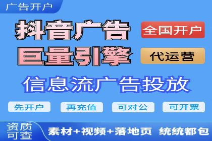 大型SEM服务公司案例分析