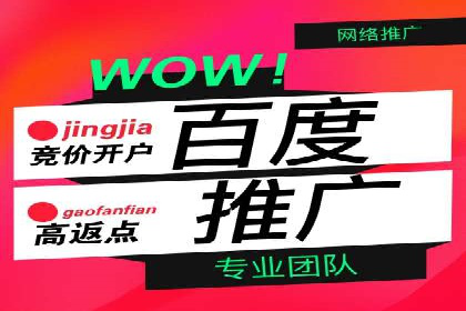 落地页在SEM优化中的重要性及成功案例
